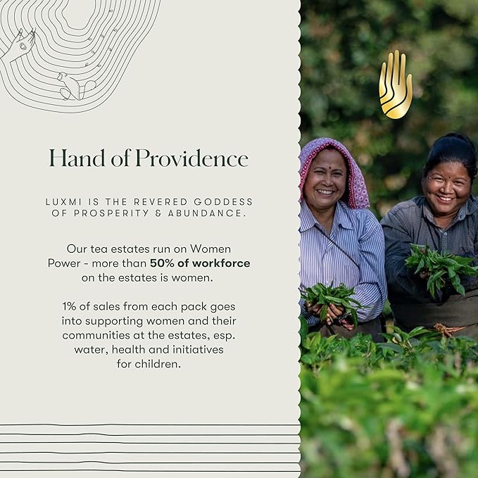 Luxmi Estates Lavender Valley Organic Lavender Tea (50 Tea Bags) Low Caffeine Tea Bags For Sleep, Relaxing, Calming, and Stress Relief, With Certified Organic Darjeeling Makaibari White Tea