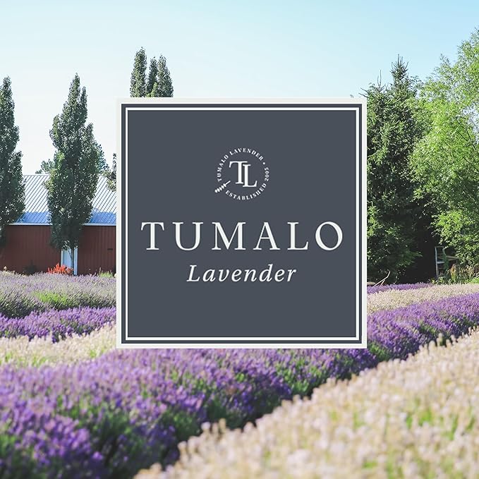 Room Spray - Sophisticated, All Natural Home Fragrance, Pure Essential Oil Air Freshener & Odor Eliminator, Refreshing Scent, Made in the USA, Amber & Jasmine, 4 oz Glass Bottle