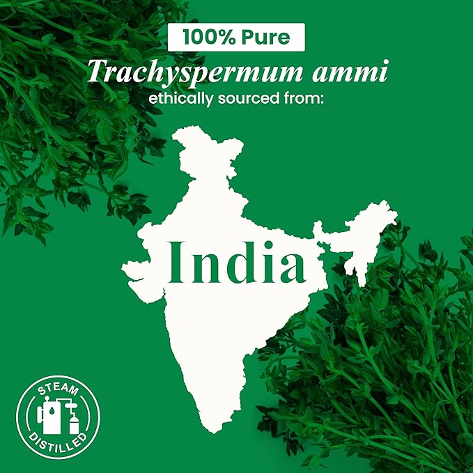 Handcraft Blends Thyme Essential Oil – 1 Fl Oz – 100% Pure and Natural – Premium Grade Essential Oil for Diffuser and Aromatherapy, Skin, Massage, Candle and Soap Making Fragrance