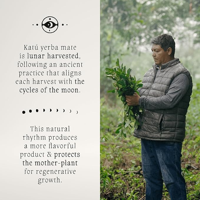 Katú Rosella Teabags, Premium Organic Yerba Mate Tea with Hibiscus, Peppermint, and Stevia Leaves, Vibrant Floral Twist, Natural Energy, 15 Satchets