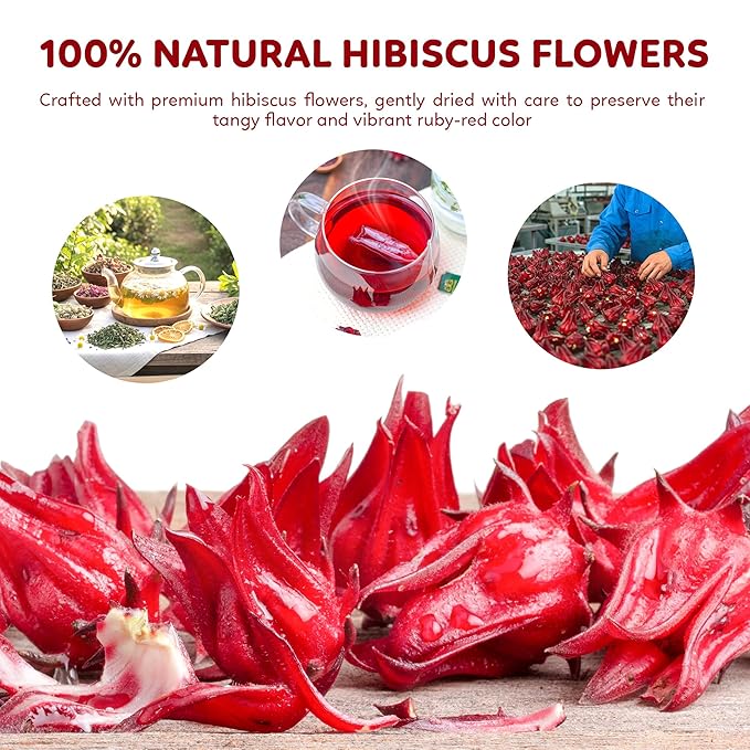 Indochine Blends Hibiscus Tea Bags | 100% Pure Hibiscus Flower | Sugar-Free, Caffeine-Free Herbal Tea | Double Chamber, Individually Wrapped Bags| Rich in Natural Goodness and Flavor | 3.5 oz | 50 Tea Bags