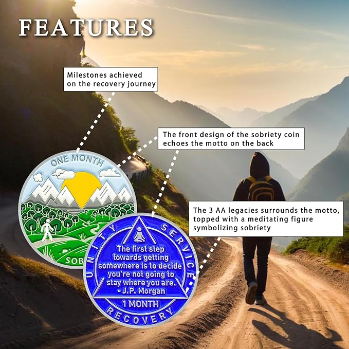 1 Month Sobriety Coin 30 Days Sobriety Chips AA Chip AA Coins 1 Month Sober chip Token Recovery Medallion Plastic case Included-Baking Paint Process