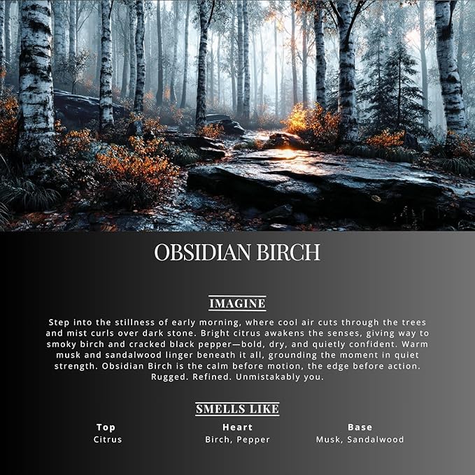 Car Air Freshener Diffuser – 2 Pack Hanging Air Freshener Diffuser (.34 Oz, Obsidian Birch)