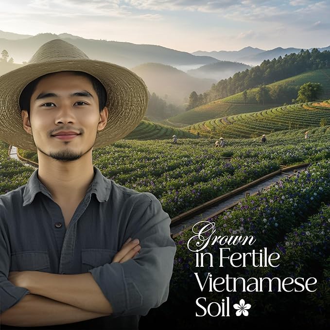 50 PACK Butterfly Pea Tea Bags – Individual Wrapped Tea Bags – Vibrant Blue All-Natural Herbal Tea | Caffeine Free | No Preservatives - Rich In Antioxidants