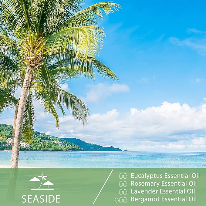 PHATOIL Eucalyptus Essential Oil 30ML, Pure Eucalyptus Essential Oils for Diffuser, Humidifier, Aromatherapy, Perfect for DIY Soap, Candle, Bath Bombs Making