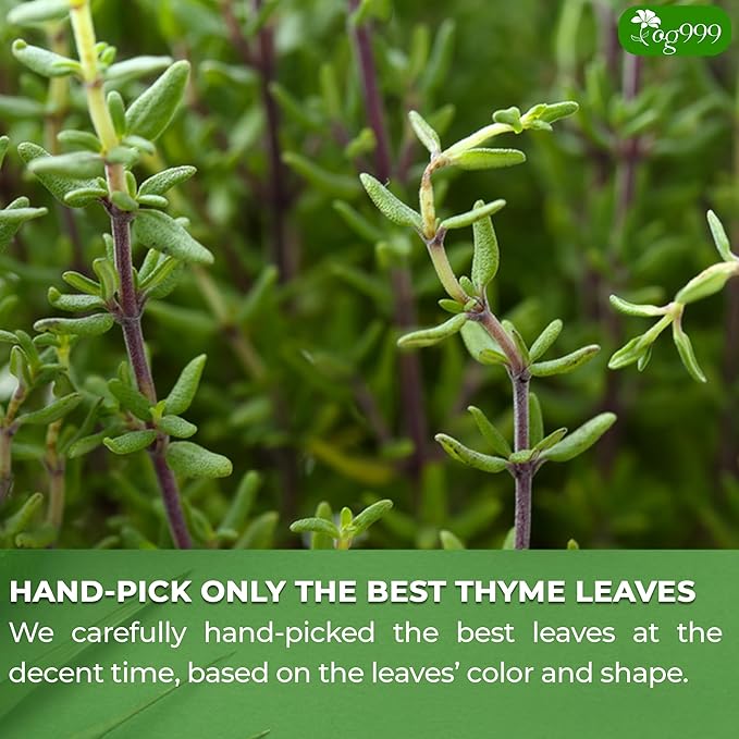 TOG999, Premium 40 Thyme Leaf Tea Bags, 100% Natural & Pure, Loose Leaf Herbal Tea. Thyme Leaf Tea. No Sugar, No Caffeine, No Gluten, Vegan.