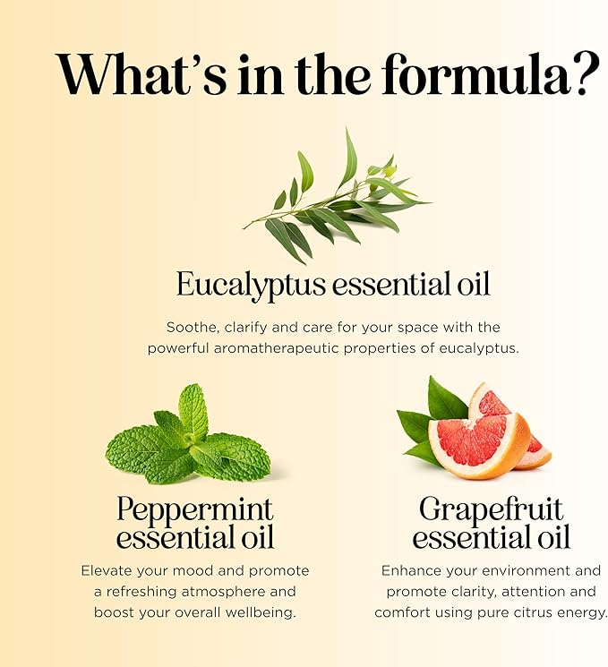 Focus Essential Oil Roll On - Aromatherapy Essential Oil Roller with Invigorating Pure Citrus and Mint Oils - Attention and Focus Essential Oil Blend with Eucalyptus Peppermint & Grapefruit (1 Pack)