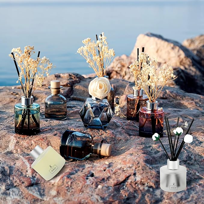 Brakula Reed Diffuser Set, Eucalyptus & Wild Mint Scented, Reed diffusers for Home, Home Fragrance Diffuser with 7 Reed Sticks for Room/Bathroom Decor 3.38 fl oz (Eucalyptus & Wild Mint)