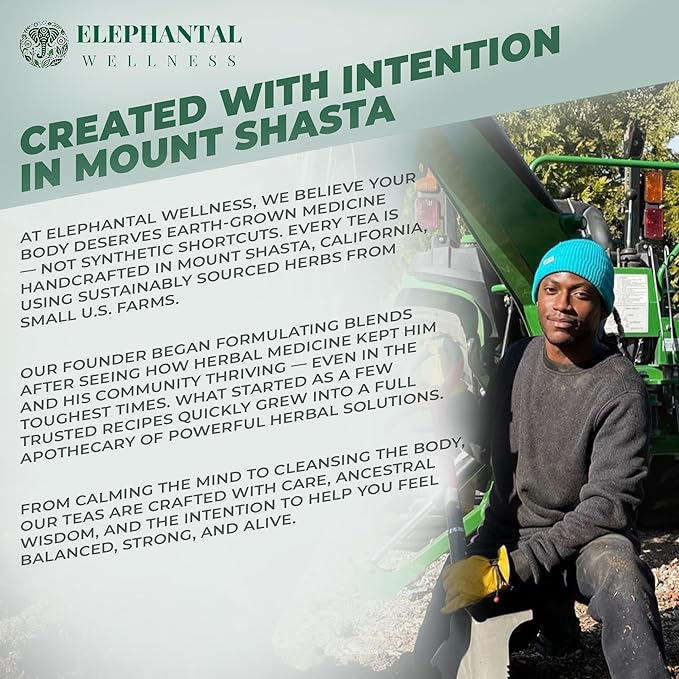 Elephantal Wellness Premium Detox Herbal Tea | Daily Liver, Kidney, Blood & Digestive Support with Turmeric, Nettle Tea, Milk Thistle, Dandelion Tea & Burdock | Handmade, Caffeine-Free Loose Leaf Blend