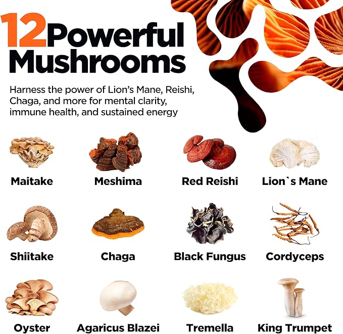 KIKI Green 12 Mushroom Powder 4 oz - Lion's Mane, Cordyceps, Chaga, Reishi, Shiitake, Maitake & More - Vegan, Fruiting Body Mushroom Supplement Powder for Focus, Energy, Immunity