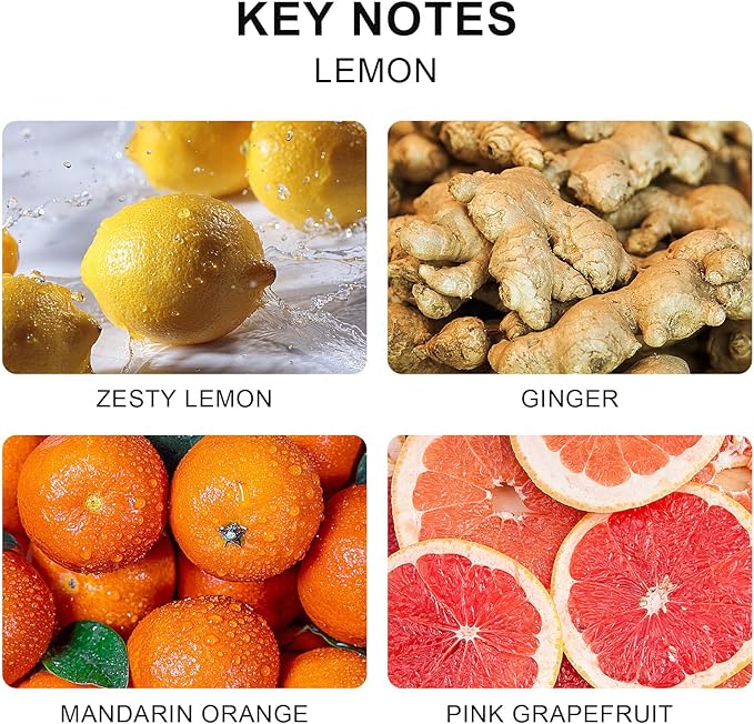 L'OEUR Vill Reed Diffuser Set - 6.7 oz (200ml) Lemon Scented Home Fragrance with 6 Oil Diffuser Sticks for Large Rooms & Bathrooms