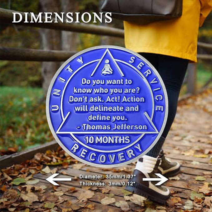 10 Month Sobriety Coin Sobriety Chips AA Chip AA Coins Sober Token Recovery Medallion NA Chips NA Coins from 1 to 12 Months Plastic case Included-Baking Paint Process