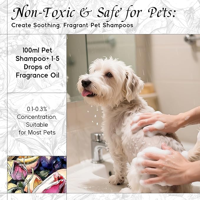 HIQILI Life Serendipity Fragrance Oil for Candle Making, Inspired by Chane. Chance, DIY Perfume, Bath Bombs, Aromatherapy, Long-Lasting Scent - 1 Fl Oz