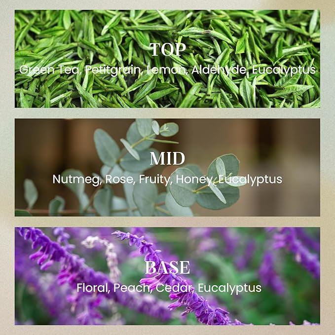 M&SENSE Sage Eucalyptus Candles for Home Scented, 2 Wick 12.7oz Soy Wax Candles Non Toxic,70 Hours Long Burning,Luxury Candles Gift for Stress Relief, Meditation, Yoga