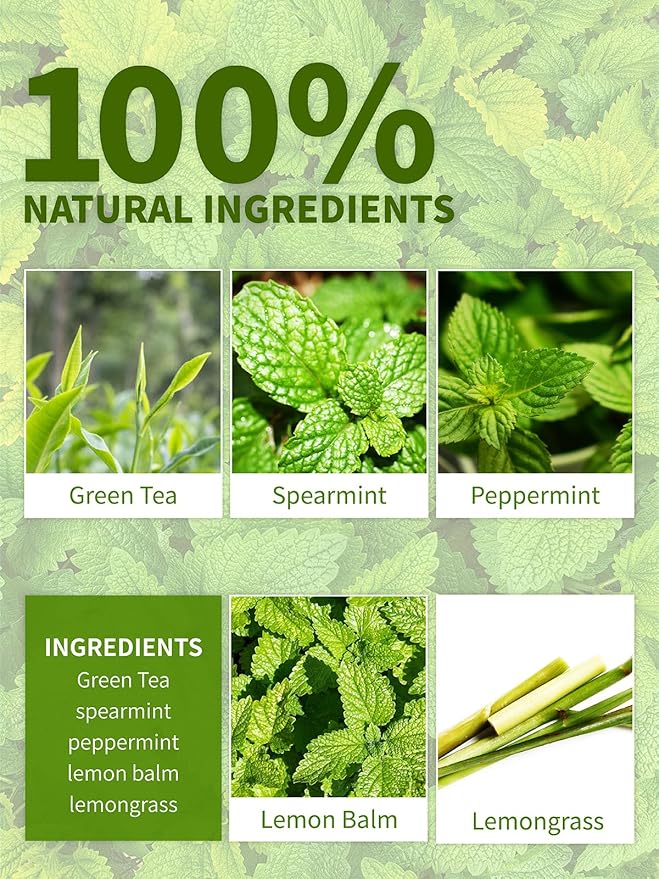 TeeLux Mint Green Tea Bags, Green Tea with Peppermint, Spearmint, and Lemongrass, Caffeinated, 100% Real and Natural, 50 Count