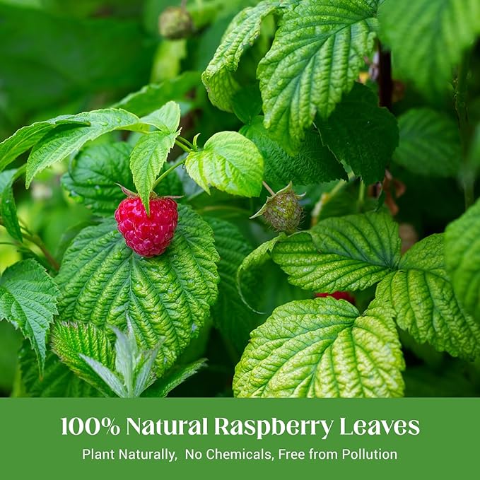 Raspberry Leaf Tea, 100% Natural & Pure Red Raspberry Leaf Herbal Tea Bags, Caffeine Free, Sugar Free, Non-GMO (50 Bags/1Pack)