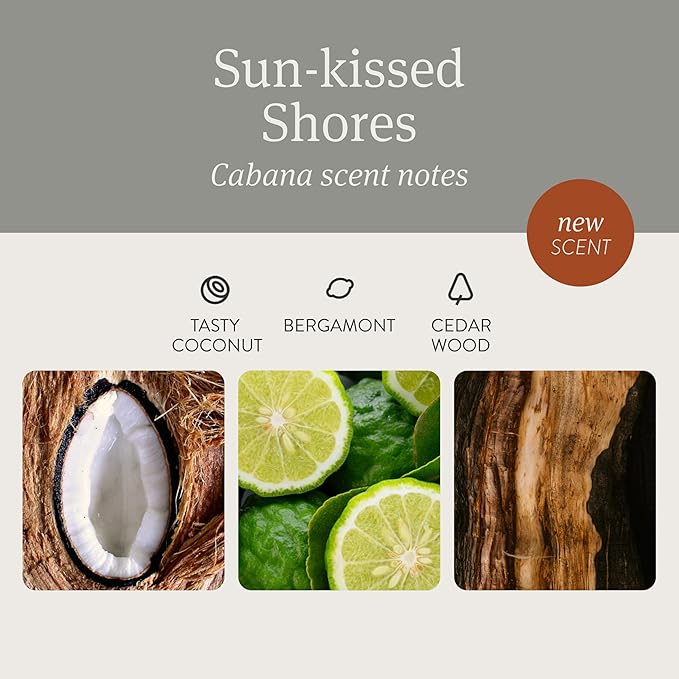 Drift Car Air Freshener - The Original Stone Air Freshener - Car Odor Eliminator - Long Lasting Scent - Metal Clip - Essential Oils - Clean Ingredients - Cabana Scent 3 Pack Refill - NO CLIP INCLUDED