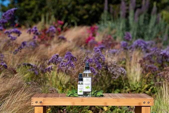 EuroSpa Aromatics Pure Eucalyptus Oil ShowerMist and Steam Room Spray, All-Natural Premium Aromatherapy Essential Oils - Menthol Infused, 8oz