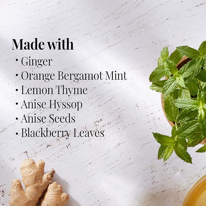 The Republic of Tea Orange Ginger Mint Tea, 250 Tea Bags Caffeine-Free Gourmet Herbal Tea