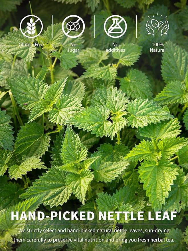 TeeLux Nettle Leaf Tea Bags, Nettle Herbal Tea, Natural Stinging Nettle Tea, Caffeine Free, Mild & Smooth taste, 100 Count