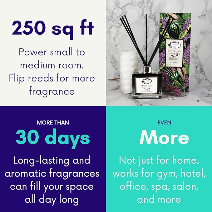 Air Jungles Lavender Scent Reed Diffuser Set with Sticks 3.4 fl oz (Pack of 3), Long-Lasting Essential Oil Air Freshener for Bathroom, Office, Gym, and Bedroom Fragrance Freshener