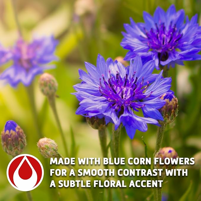 Sou Zen Organic Vanilla Rooibos Tea 4oz (113g) | Decaf Loose Leaf Herbal Red Tea Blend | Naturally Caffeine and Preservative-Free