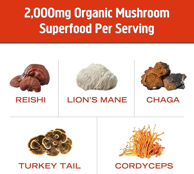 OM MUSHROOM SUPERFOOD Morning Energy Blend Mushroom Powder Drink, 8.47 Ounce Canister, Coffee Free Energy Drink with Cordyceps, Vitamin D2, Agaricus Bisporus, Lion's Mane, Rhodiola, and Turkey Tail