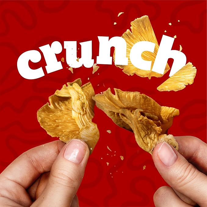 EVIL SNACKS Crunchy Mushroom Chips - VARIETY PACK, Non-GMO Project Verified, Plant-Based, Vegan - Nutrient-Packed, On-the-Go Snack - 2 Oz (3 Pack)