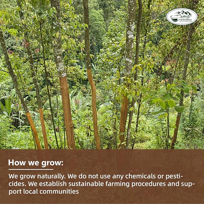 Veyorra Cinnamon Tea Bags -Natural & Pure Cinnamon Bark, Herbal Tea. No Sugar, No Caffeine, No Gluten, Vegan (110 Bags)