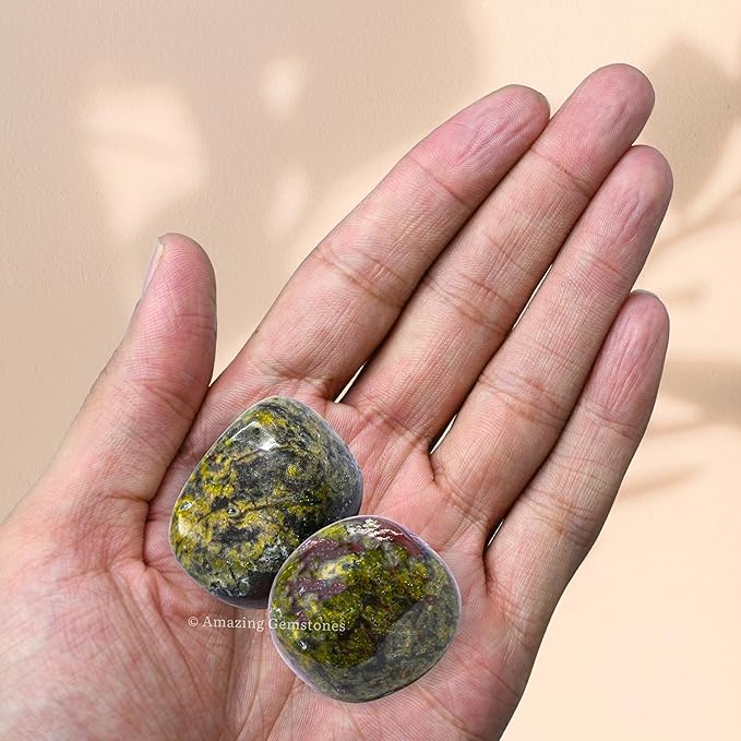 Amazing Gemstone Dragon Bloodstone Crystals and Healing Stones Tumbled - 1 oz Dragon Bloodstone Stone, Healing Stones for Energy Balance, Stress Relief - Premium Polished Gems Rocks for Meditation