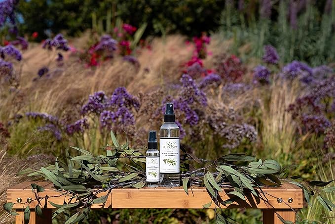 EuroSpa Aromatics Pure Eucalyptus Oil ShowerMist and Steam Room Spray, All-Natural Premium Aromatherapy Essential Oils - Pure Eucalyptus, 8oz, 2 Pack