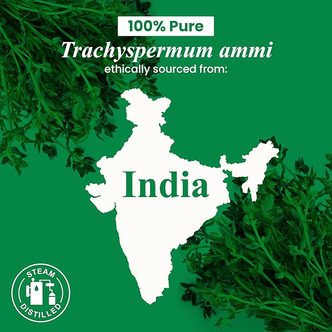 Handcraft Blends Thyme Essential Oil – Huge 4 Fl Oz – 100% Pure and Natural – Premium Grade Essential Oil for Diffuser and Aromatherapy, Skin, Massage, Candle and Soap Making Fragrance