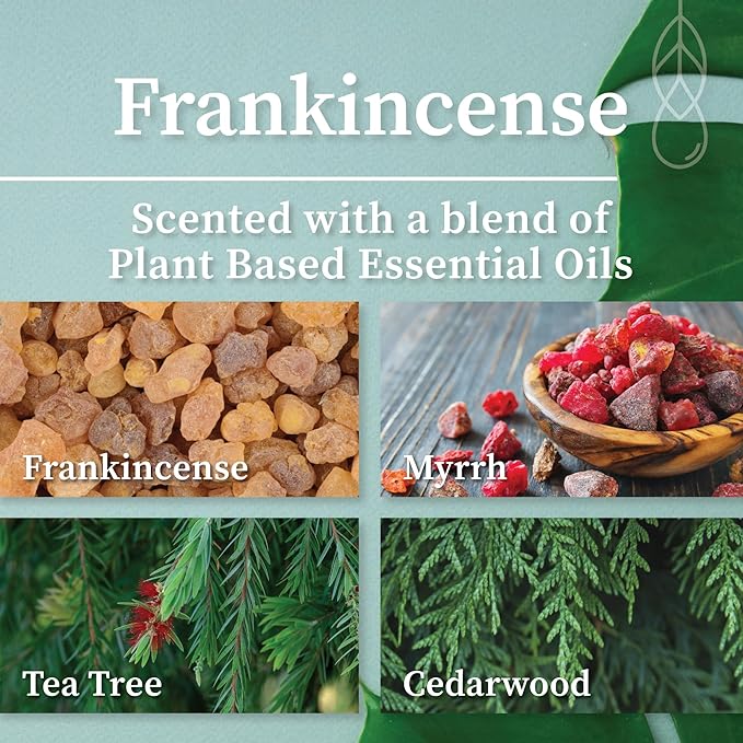 Hemlock Park Apothecary Wood Wick Candle Trio | Gift Set of Three 4 oz Candles Handcrafted with Natural Coconut Wax (Ritual | Sage, Palo Santo, Frankincense)