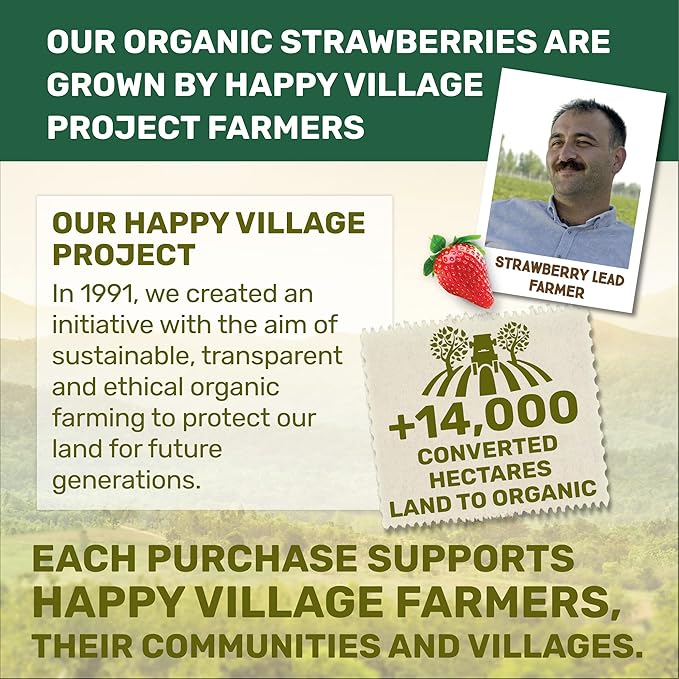 Happy Village Organic Soft Dried Strawberries On the Go – 3 Bags (15 Individual Portion Packs) | Healthy, Organic, Non-GMO, Vegan, Kosher, Gluten-Free Snack Packs