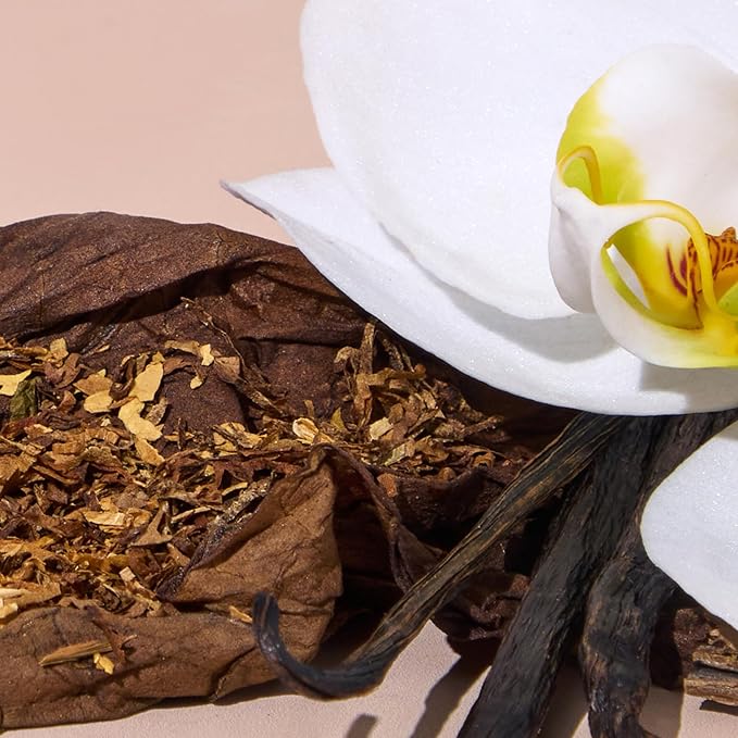 Bright Spot Man Cave Car Air Freshener - Premium Car Hanging Diffuser, Long-Lasting Fragrance up to 120 days for Auto & Home | Sophisiticated & Woody |Tobacco, Vanilla, Woods | Non-Toxic, Cruelty-Free