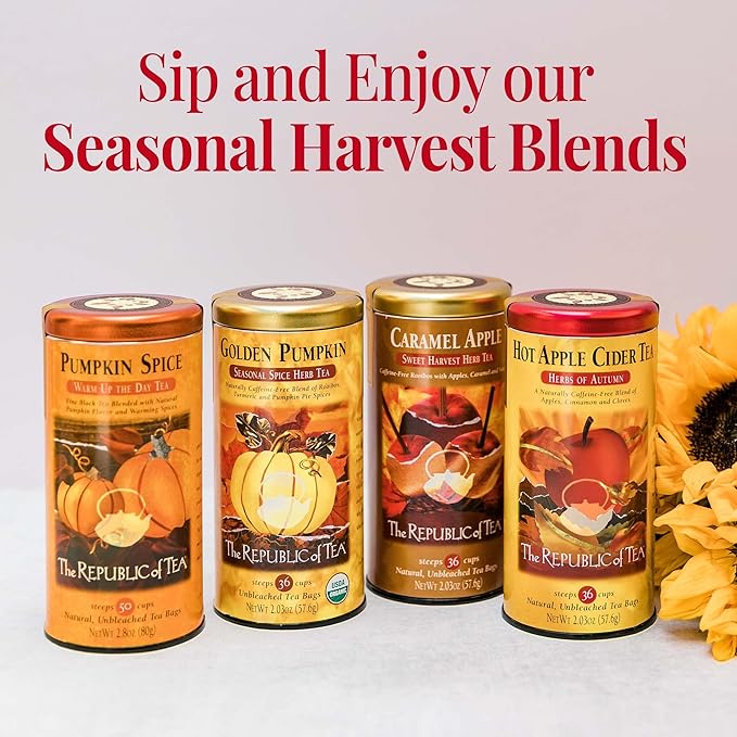 The Republic of Tea Hot Apple Cider Seasonal Herbal Tea, 36 Tea Bag Refill