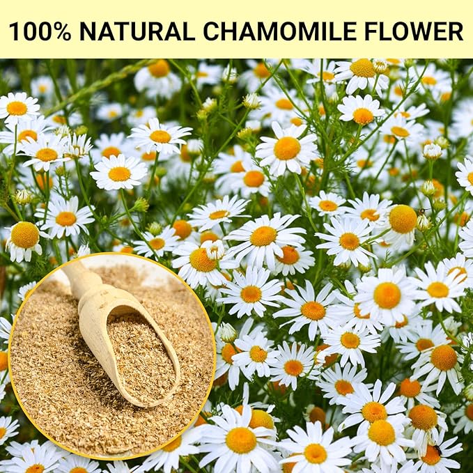 Chamomile Tea Bags, 100% Pure Natural Chamomile Flower Herbal Tea for Relaxation, Caffeine Free, Non-GMO, Additives Free,No Sugar/Gluten(1 Pack/50 Bags)