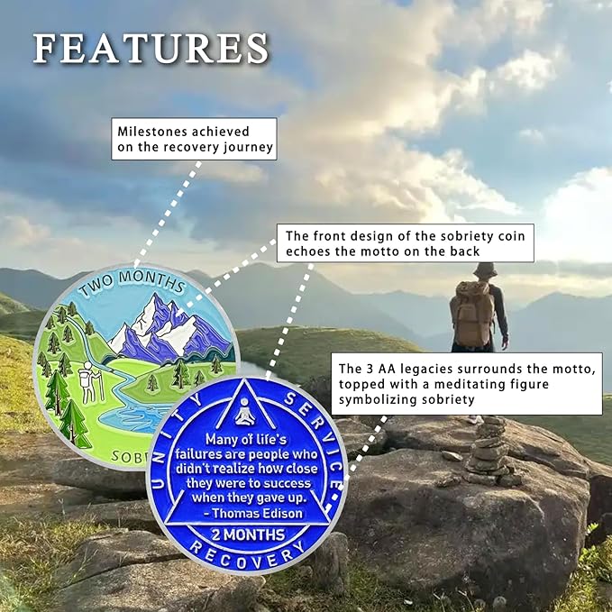 2 Month Sobriety Coin 60 Day Sobriety Chips AA Chip AA Coins Sober Chip Token Recovery Medallion NA Chips NA Coins from 1 to 12 Month Plastic case Included-Baking Paint Process