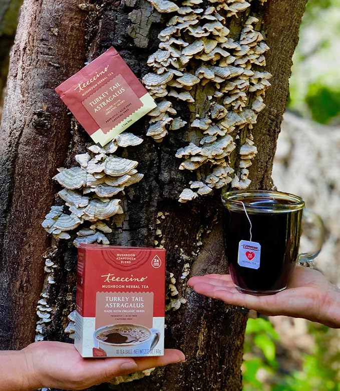 Teeccino Mushroom Herbal Tea - Turkey Tail Astragalus Toasted Maple - Caffeine Free, Prebiotic, 3x More Herbs - 25 Tea Bags