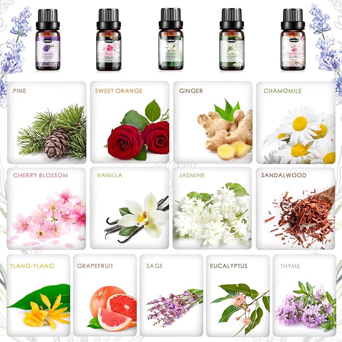 Essential Oils Set, Aromatherapy Essential Oil Kit for Diffuser, Massage, Skin Care (26 x 5ml) - Eucalyptus, Lavender, Tea Tree, Peppermint, Lemongrass, Frankincense, Cinnamon, Sandalwood