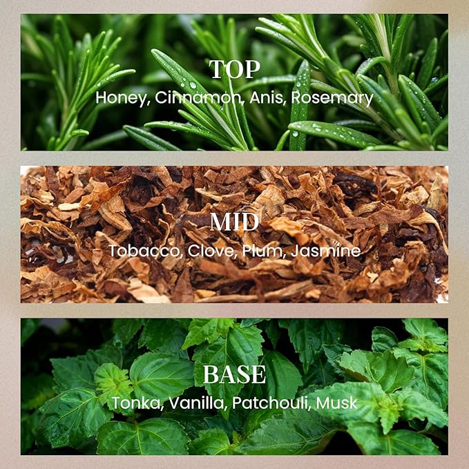 M&SENSE Tobacco Vanilla Candles for Home Scented, 2 Wick 12.7oz Soy Wax Candles Non Toxic,70 Hours Long Burning,Luxury Candles Gift for Stress Relief, Meditation, Yoga