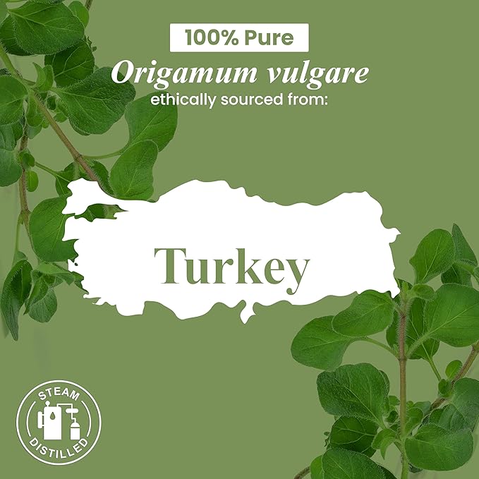 Handcraft Blends Oregano Oil – 1 Fl Oz – 100% Pure and Natural – Premium Grade Essential Oil for Diffuser and Aromatherapy, Skin, Massage, Candle and Soap Making Fragrance