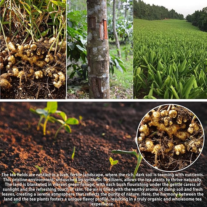 Turmeric Ginger Cinnamon Tea Bags - 120 Teabags Premium Turmeric Ginger Herbal Tea, Curcuma Teas Bag Hand-made Blend, 100% Natural & No Additives & Caffeine Free (120 Count)