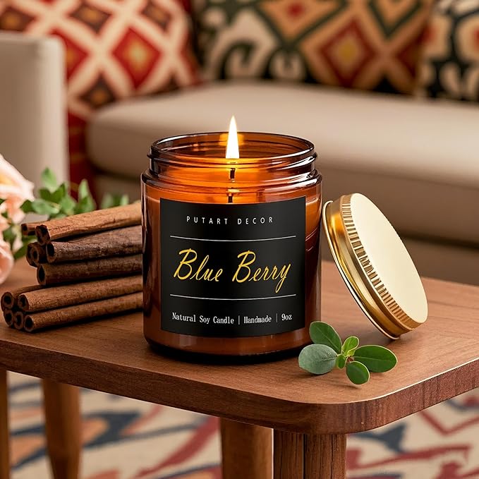 Blueberry Candles for Home Scented, Natural Soy Aromatherapy Non Toxic Candles with Long Lasting Fragrance & Clean Burn, Luxury Jar Candle Gift for Women, Men, Home Decoration 9oz