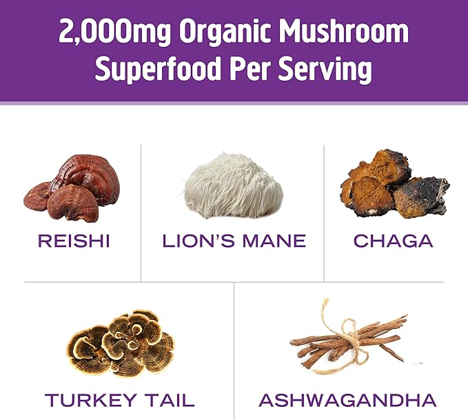 OM MUSHROOM SUPERFOOD Hot Chocolate Blend Mushroom Powder, Single Serve, 10 Count, Dutch Cocoa, 2g of Sugar, 25 Calories, Lion's Mane, Reishi, Chaga, Turkey Tail, Focus and Stress Support