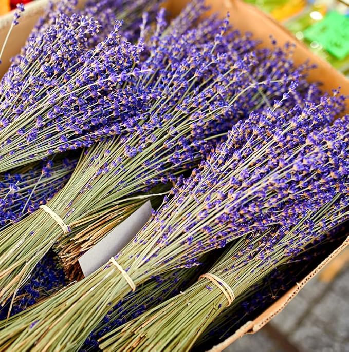 Lavender Oil - Bulgarian Essential Oils - Lavender Diffuser - Pure Therapeutic Grade (22lbs)