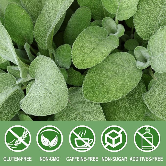 Jarteela - Sage Tea Bag, 1.5g x 54 Count - Natural Sage Leaf Salvia Officinalis Tea Bag - Non-GMO - Caffeine-free Herbal Tea -Support Digestion & Healthy Skin