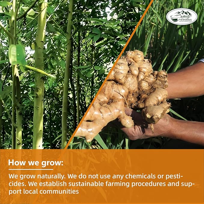 110 Bags Premium Turmeric, Ginger, Cinnamon Blend Tea, Upgraded Version. Improve Digestion, Support Brain, Weight, Skin and Sleep.100% Natural & No Additives & Caffeine Free.