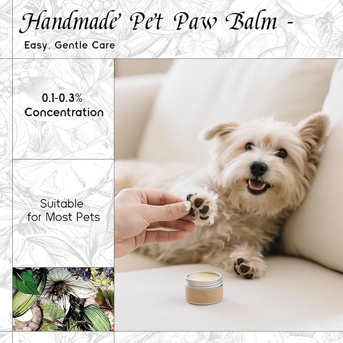 HIQILI Black Dress Fragrance Oil for Home Diffuser, Making Bath Bombs, DIY Air Refresher Spray, Sweet Scented Oil for Perfume - 1 Fl Oz