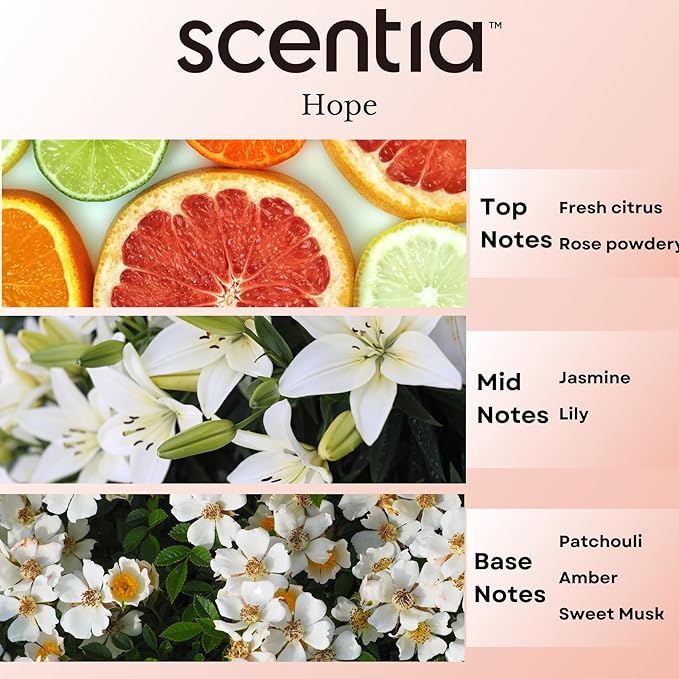 Coco-Chance-Inspired Diffuser Oil Refill - Scentia Hope Dupe Fragrance Oil Blend, Home Luxury Scents, Essential Oil Set for Aromatherapy Diffusers Candle Making | 20ml, 0.67 Fl Oz, Mothers Day Gift